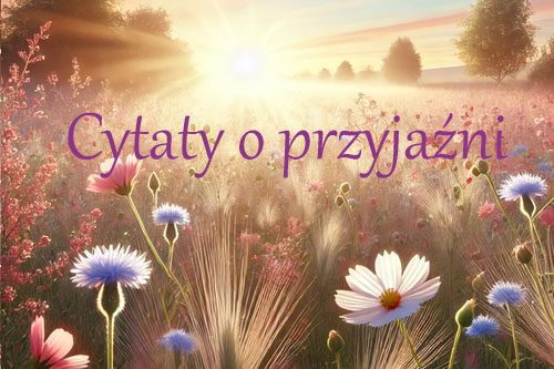 Cytaty o przyjaźni