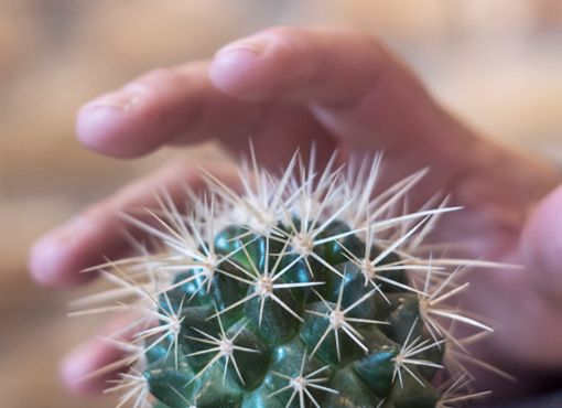 Samookaleczanie się